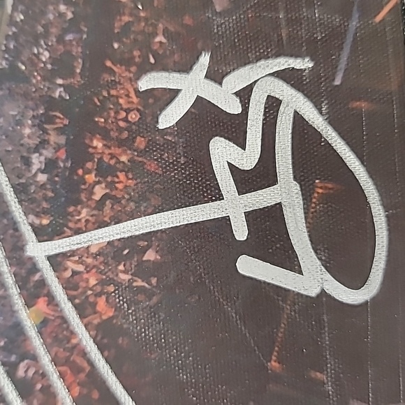 Autogtaphed Strange Music canvas VIP 2016 - Picture 4 of 17